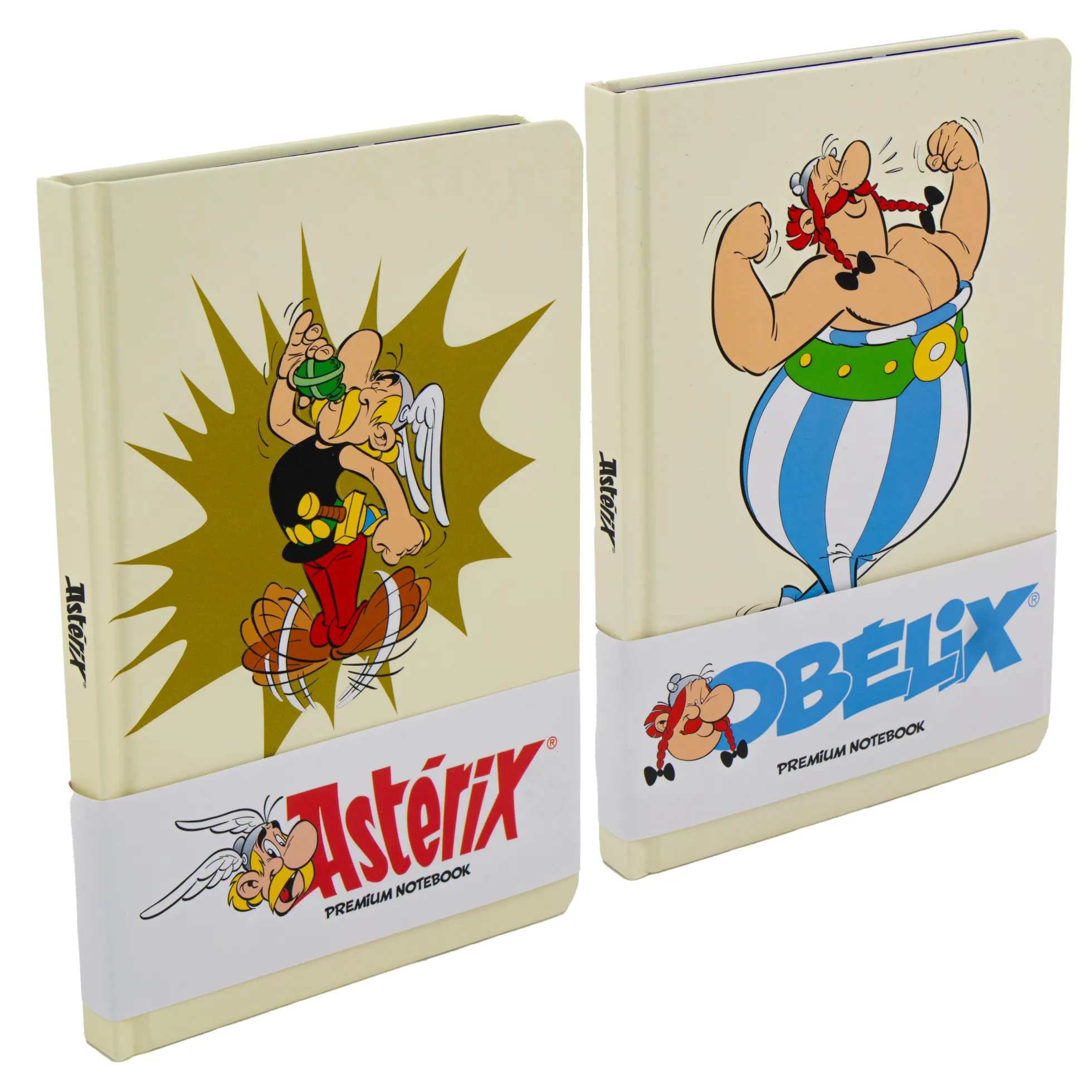 Asterix oder Obelix Premium Notizbuch