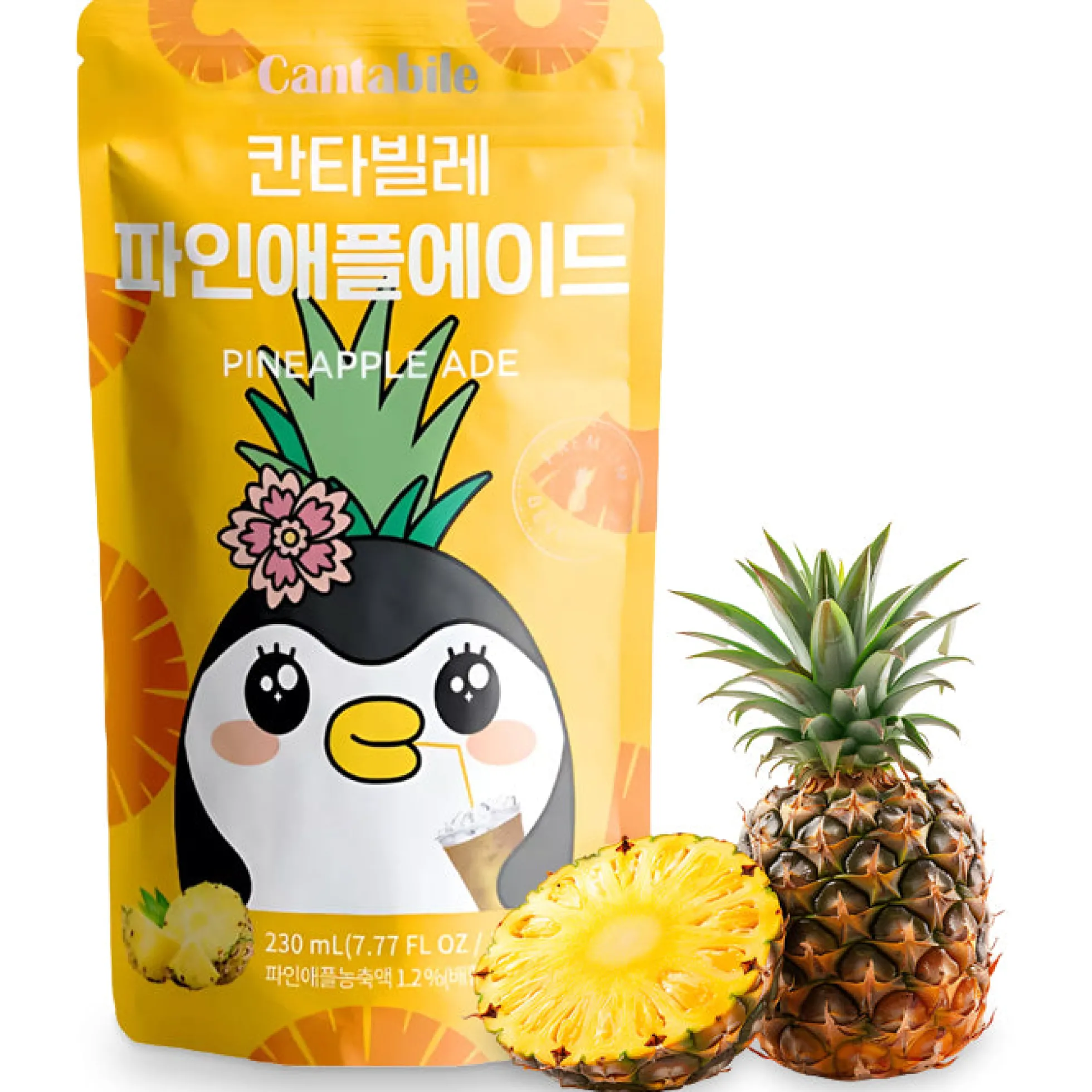 Cantabile – Koreanische Limonaden aus dem Beutel