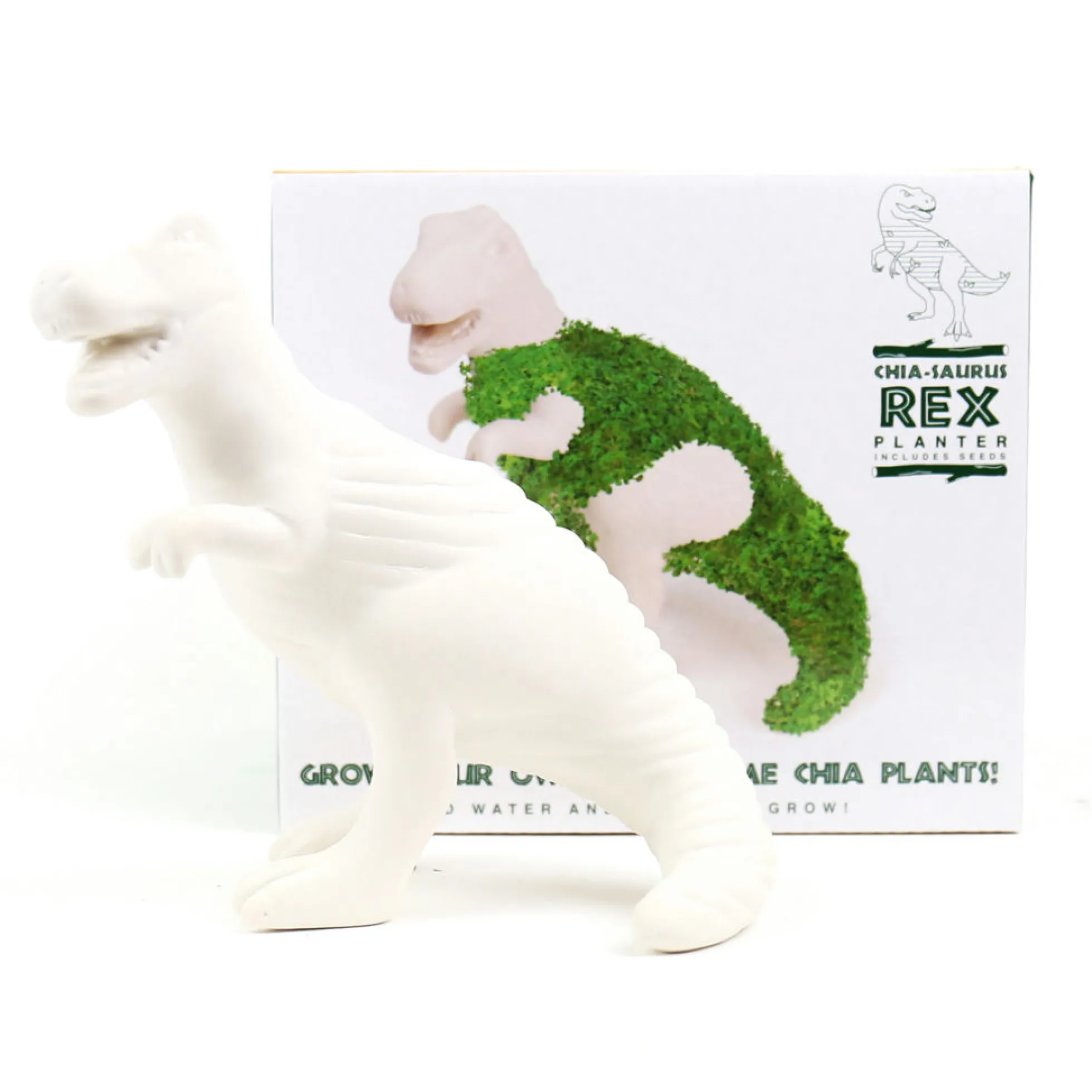 Chia-Saurus Rex Anzuchtset