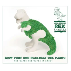 Chia-Saurus Rex Anzuchtset