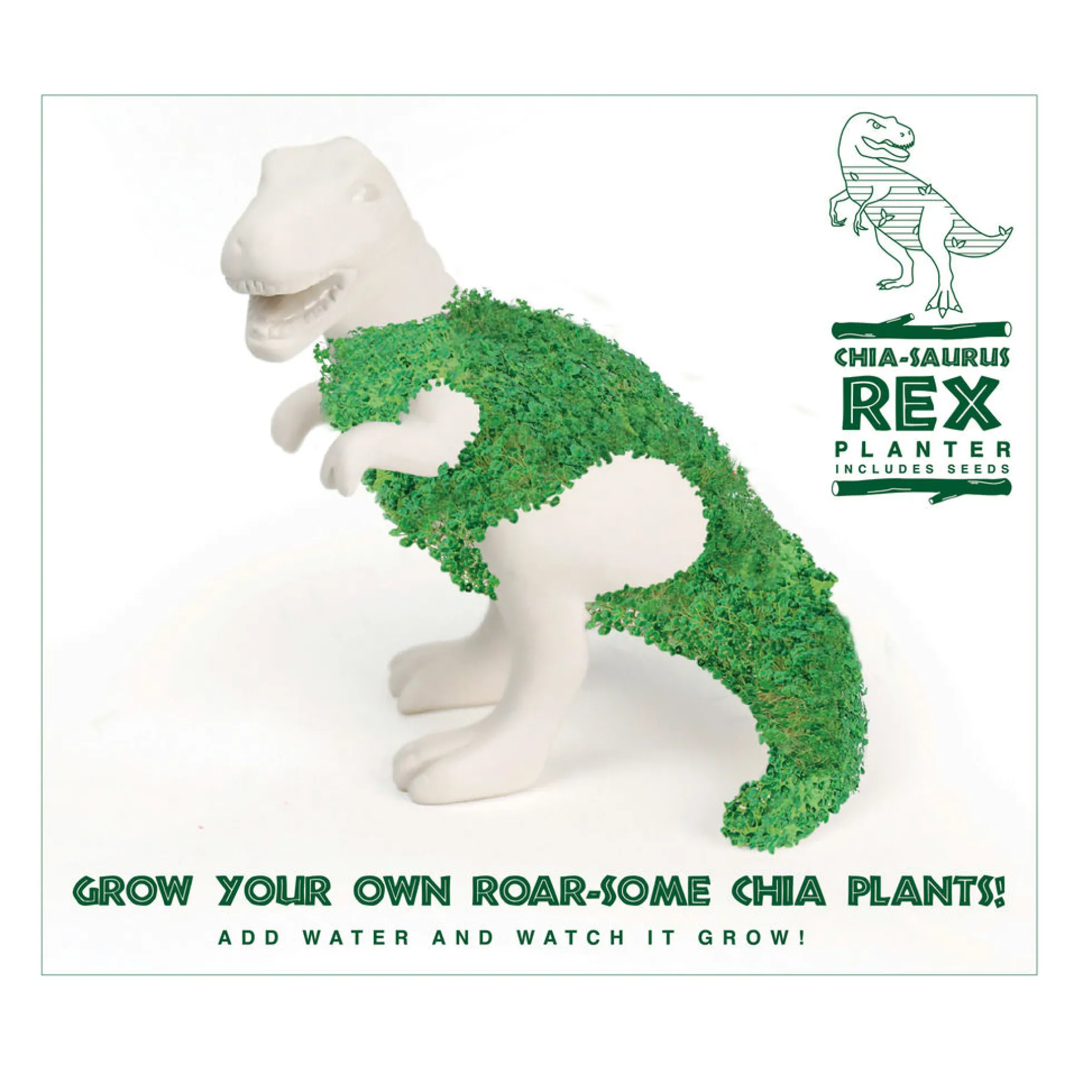 Chia-Saurus Rex Anzuchtset