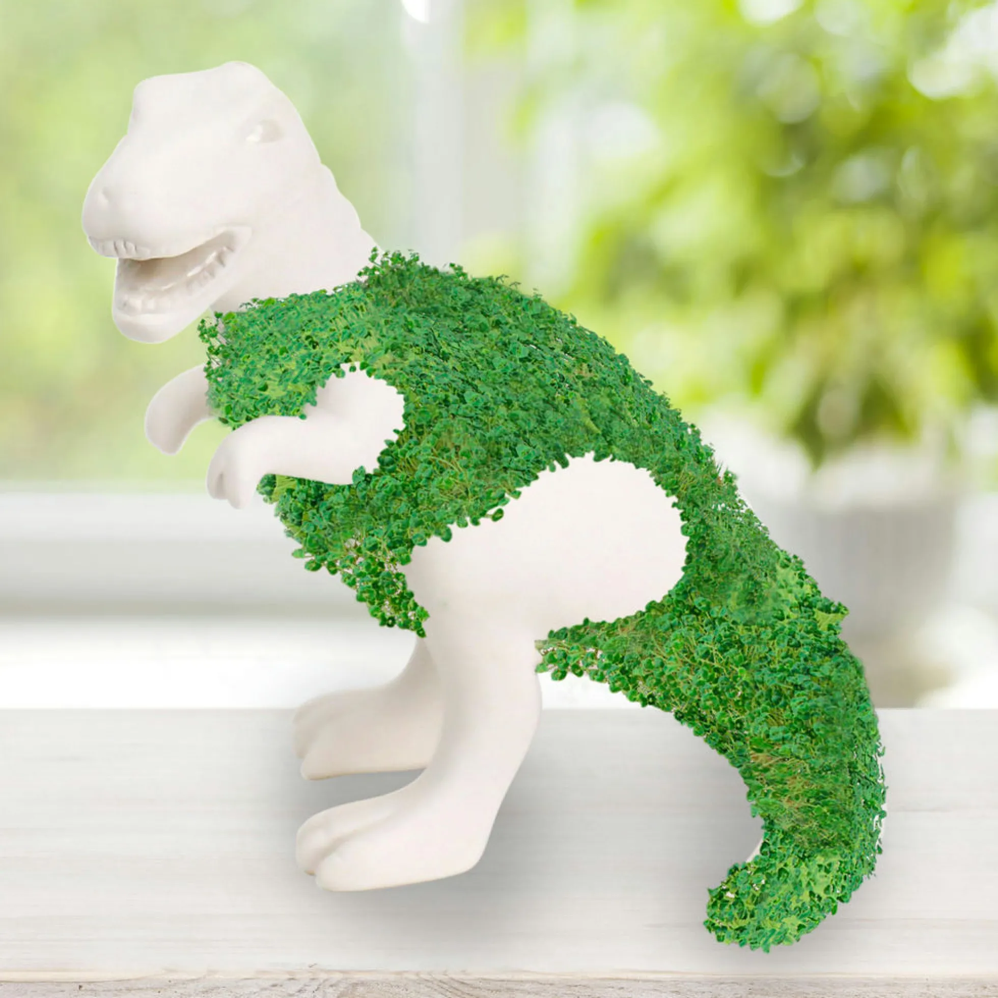 Chia-Saurus Rex Anzuchtset