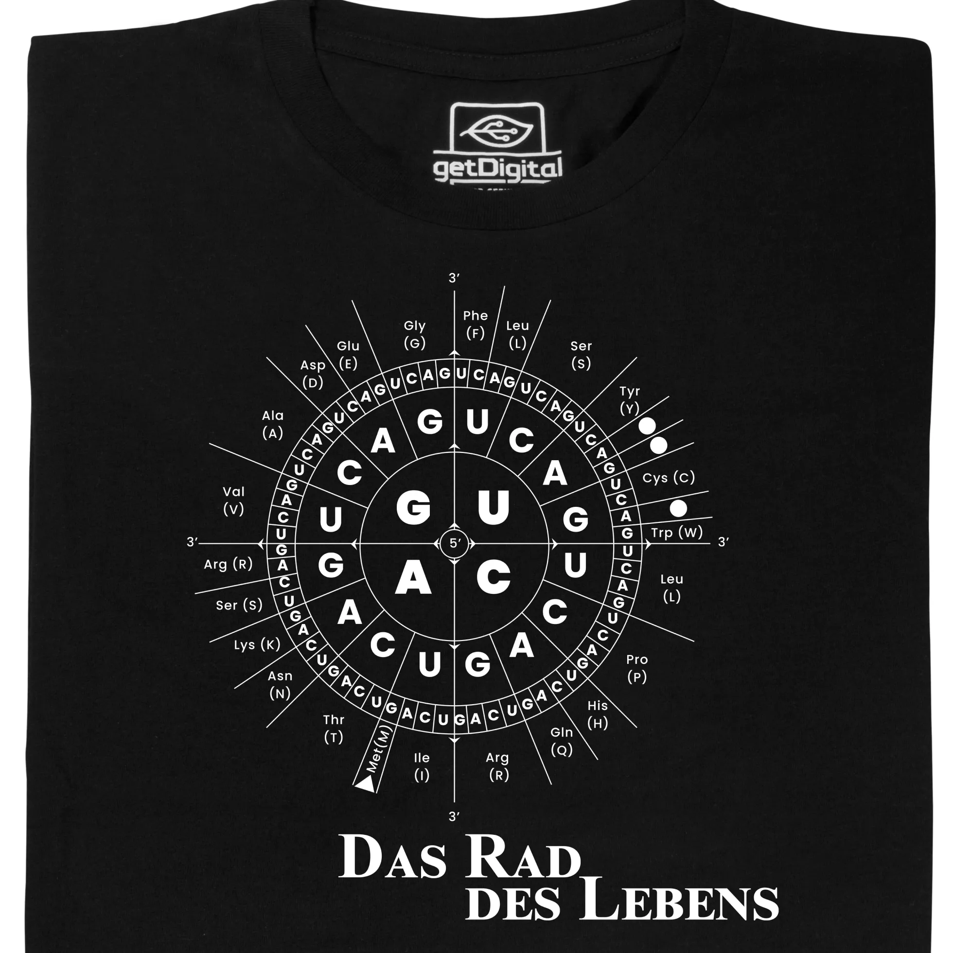 Das Rad des Lebens