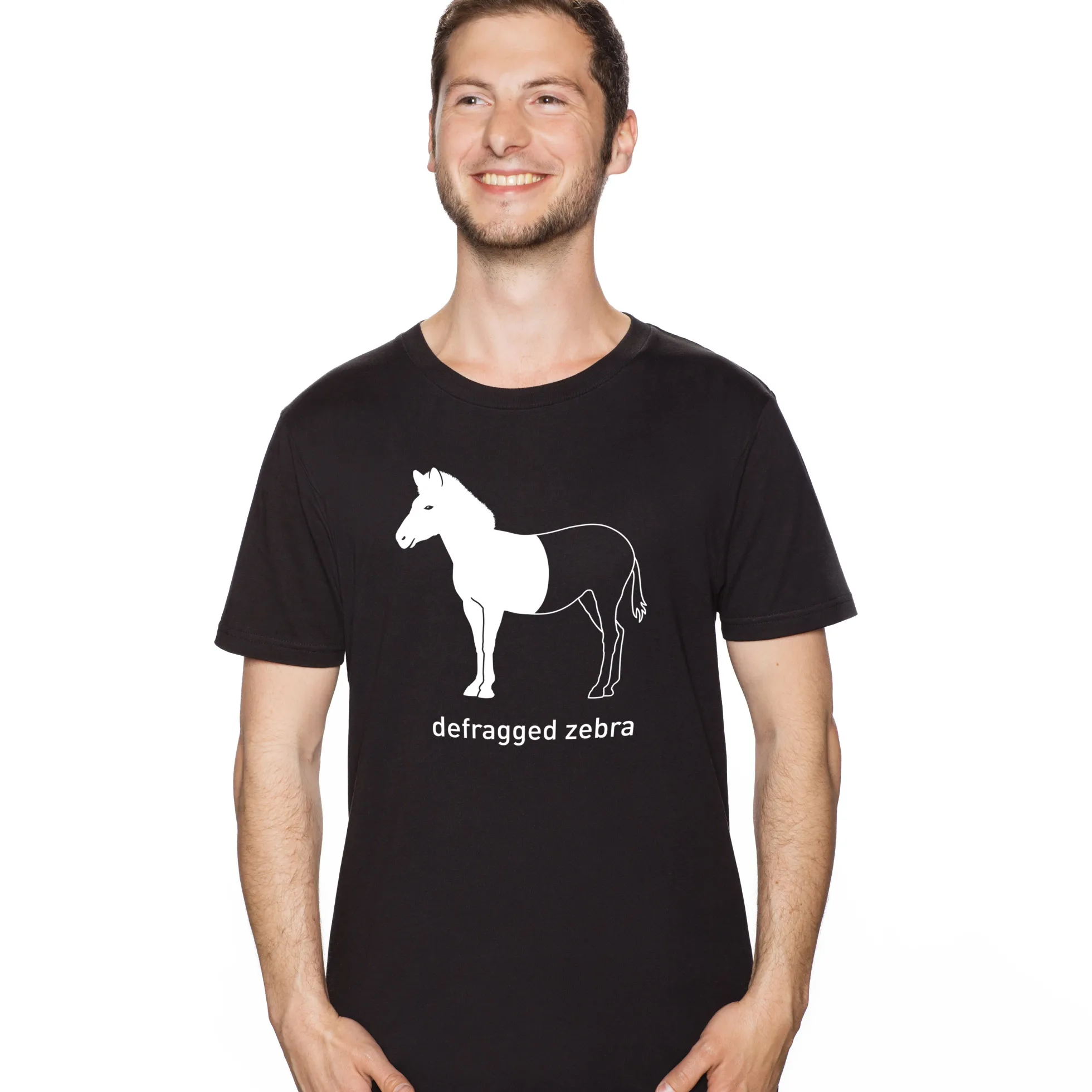 Defragged Zebra