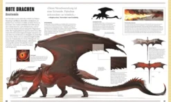Dungeons & Dragons - Das Buch der Drachen (Hardcover)
