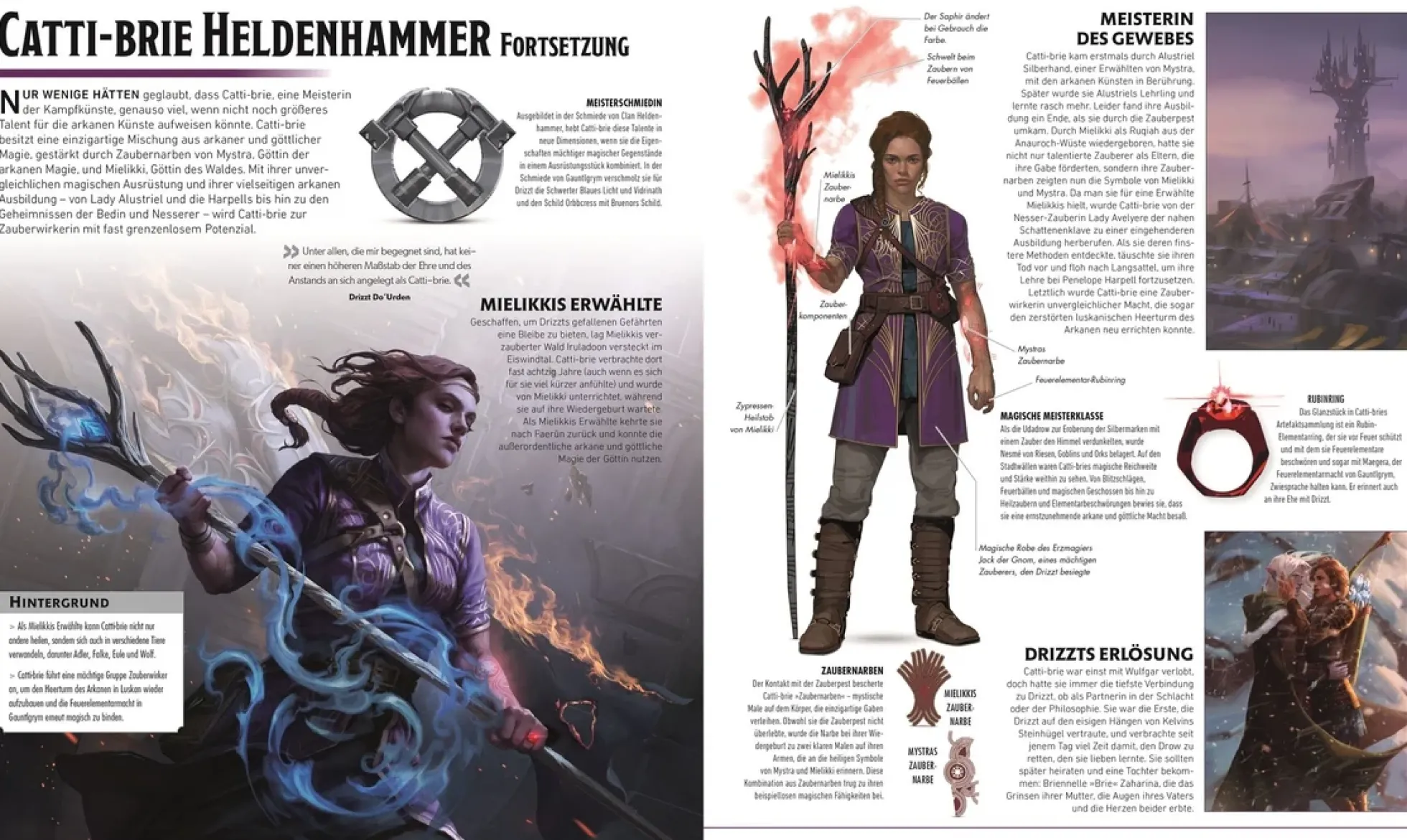 Dungeons & Dragons Die Legende von Drizzt, die illustrierte Enzyklopädie