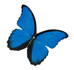 Elektronischer Schmetterling