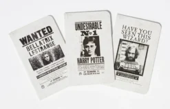 Harry Potter Steckbrief-Notizbücher 3er Set