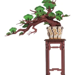 Immergrüner Kiefernbonsai Holzbausatz