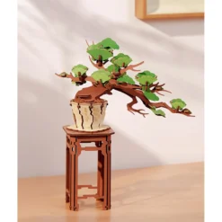 Immergrüner Kiefernbonsai Holzbausatz