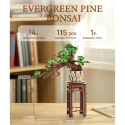 Immergrüner Kiefernbonsai Holzbausatz