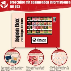 Japanische KitKat Snackbox mit 25 Riegeln