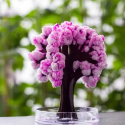 Magic Sakura - Magisch Wachsender Kirschbaum