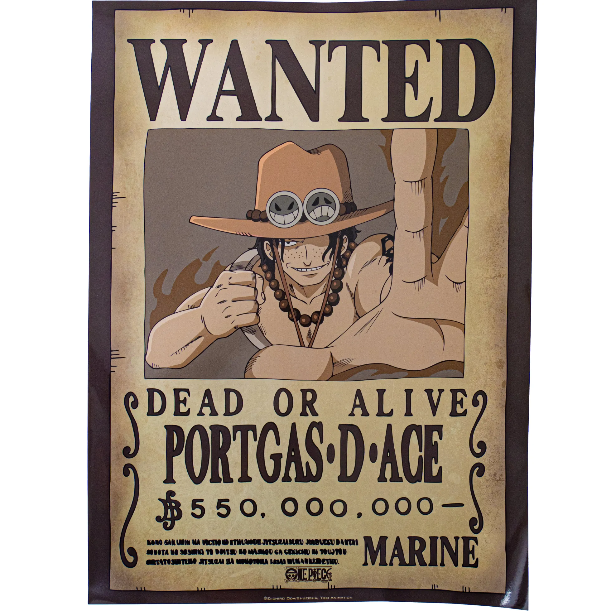 One Piece "Wanted" Poster