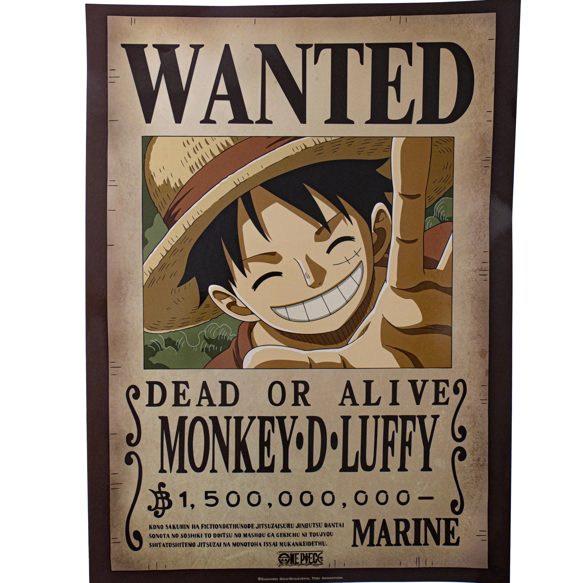 One Piece "Wanted" Poster
