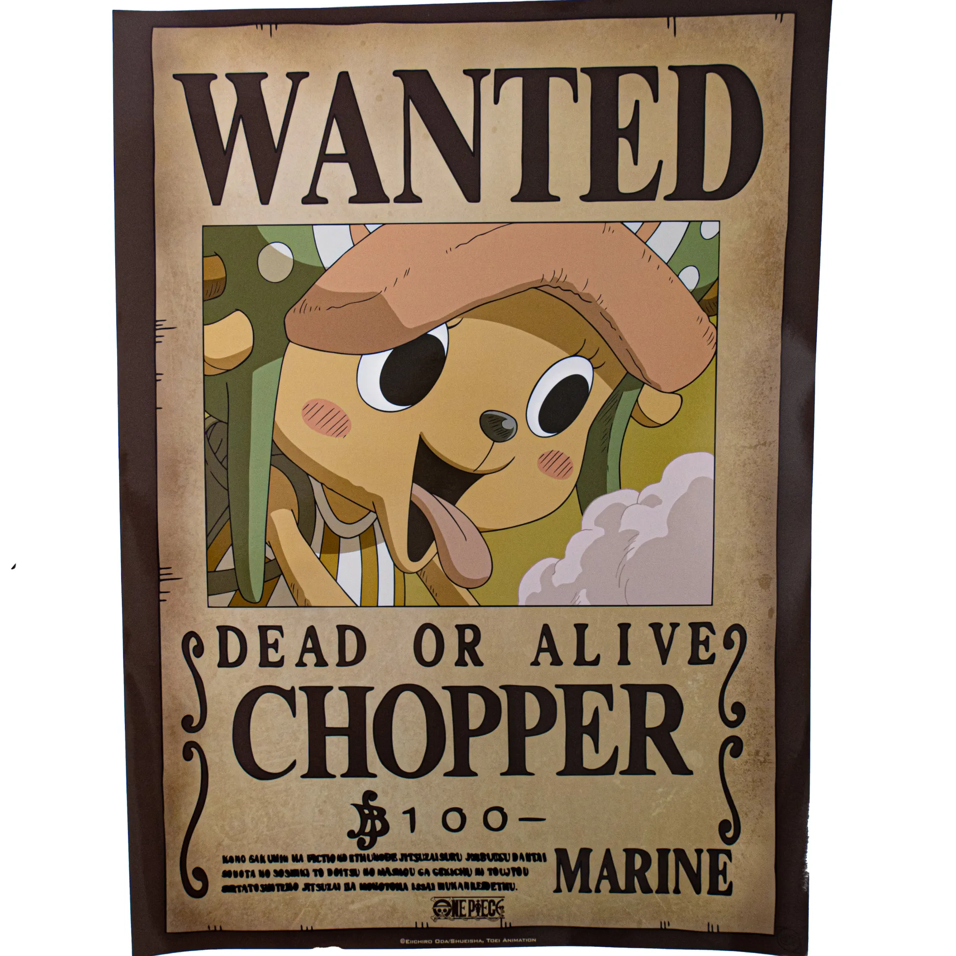One Piece "Wanted" Poster