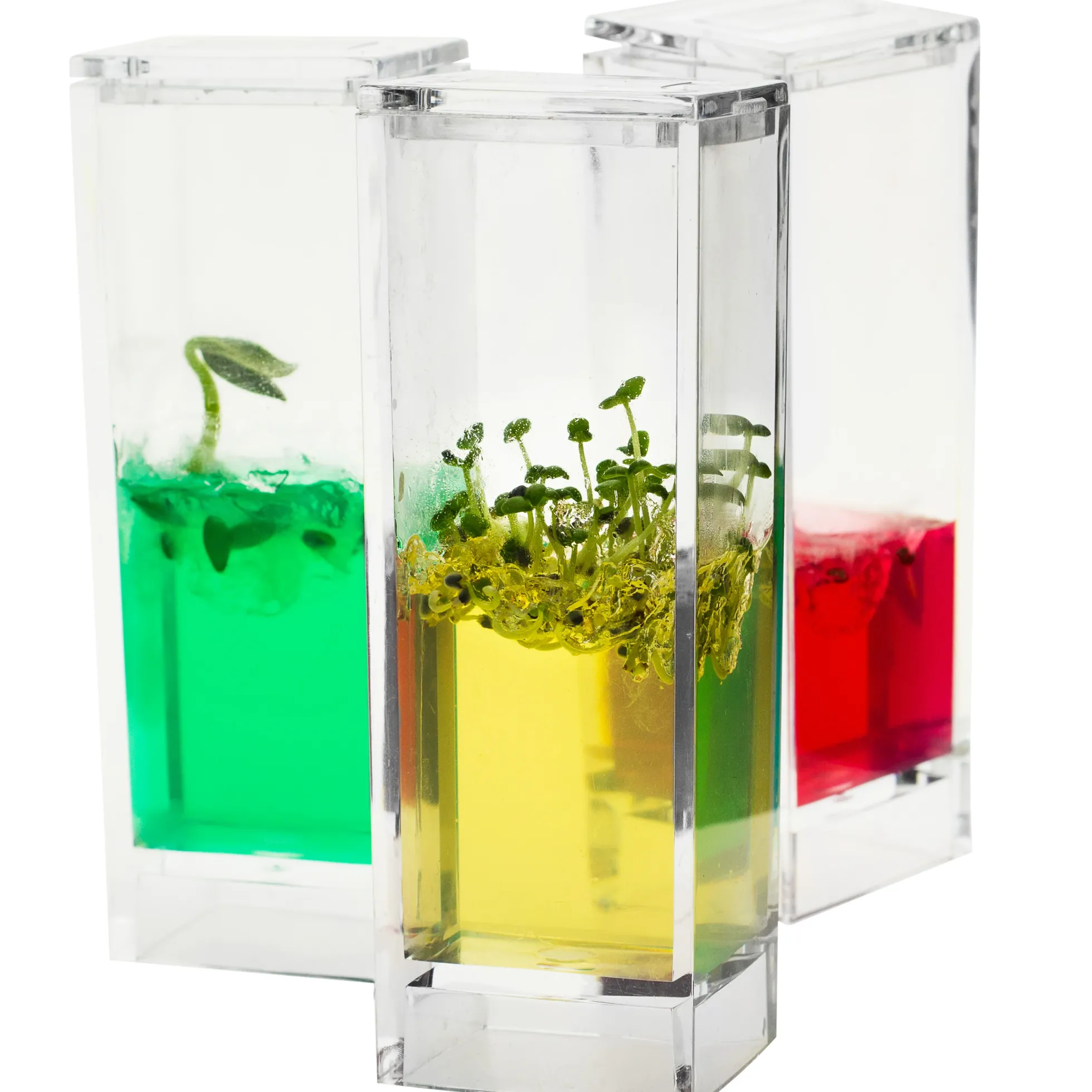 Plantarium Garden Lab