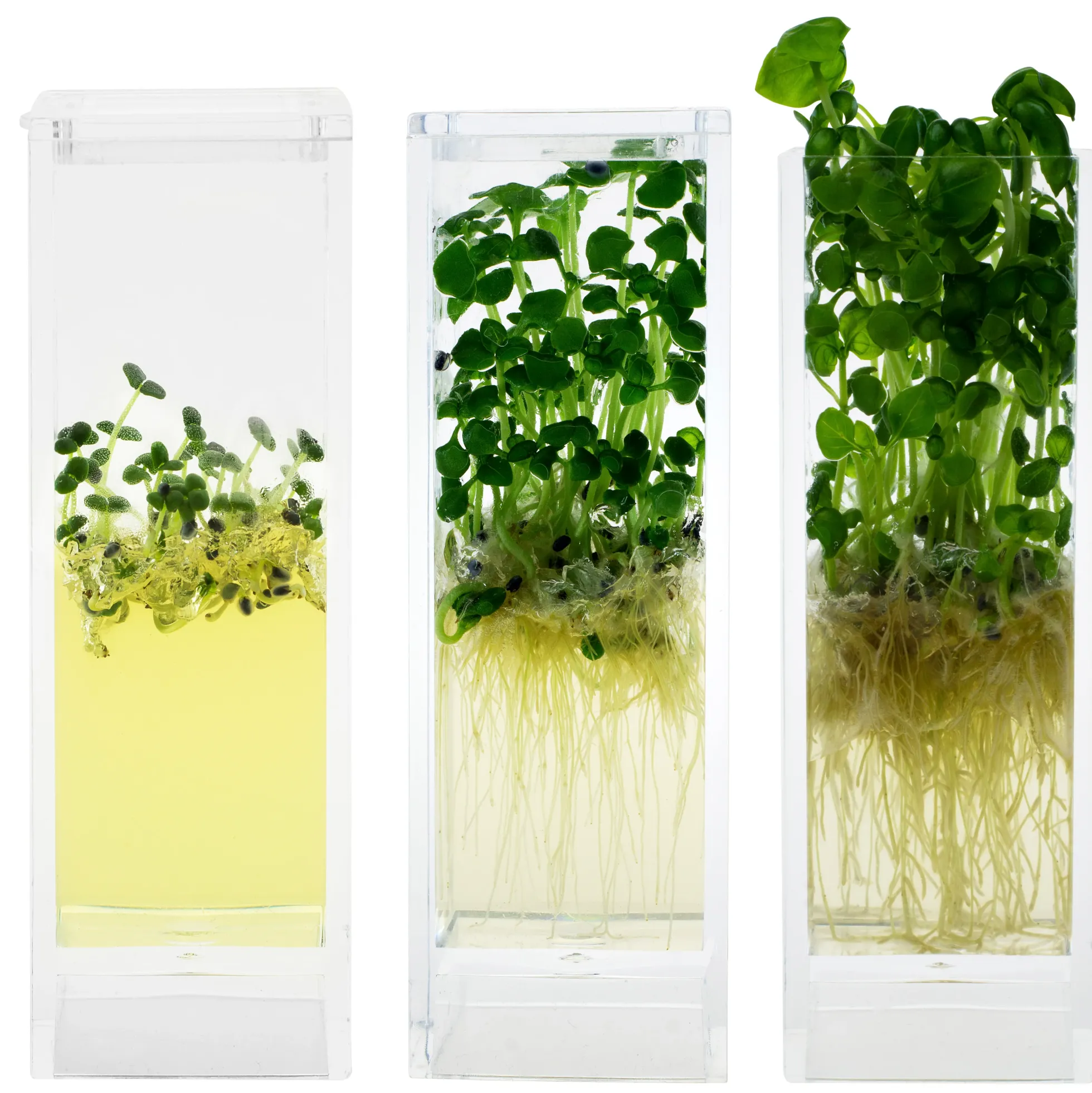 Plantarium Garden Lab