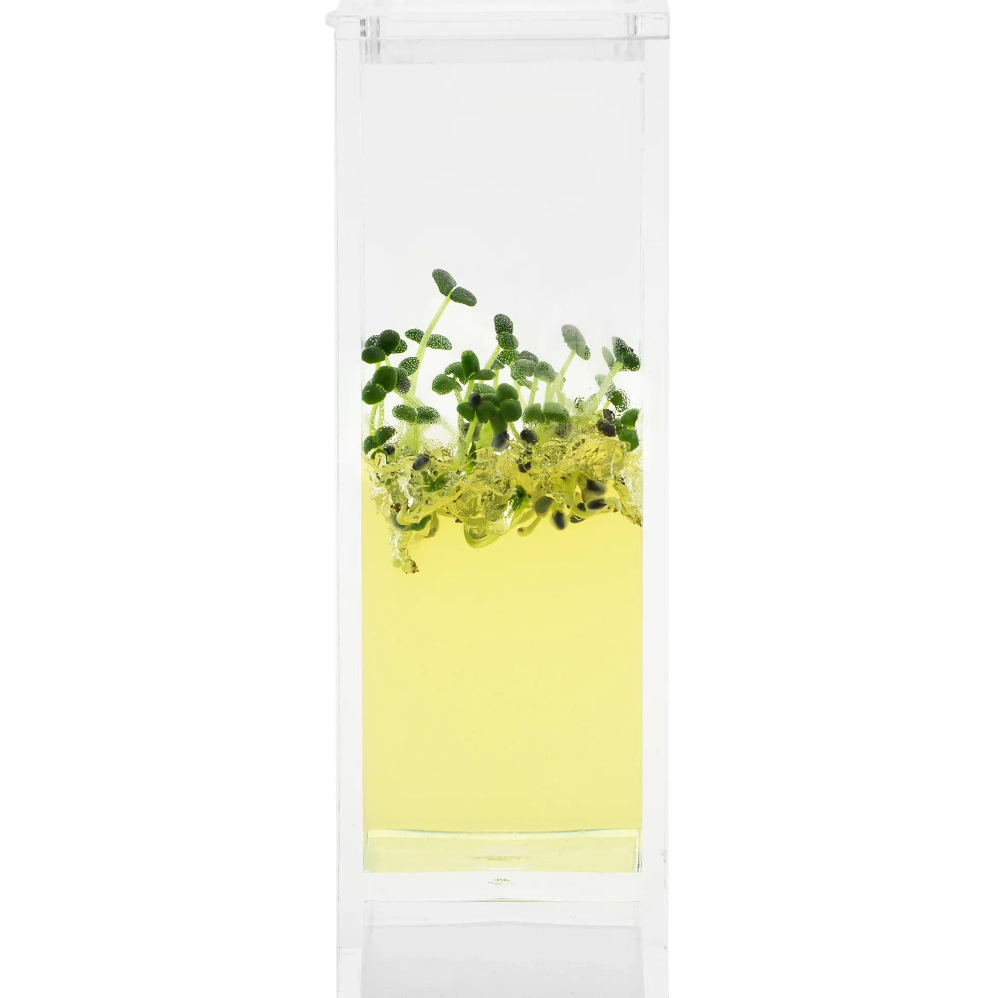 Plantarium Garden Lab
