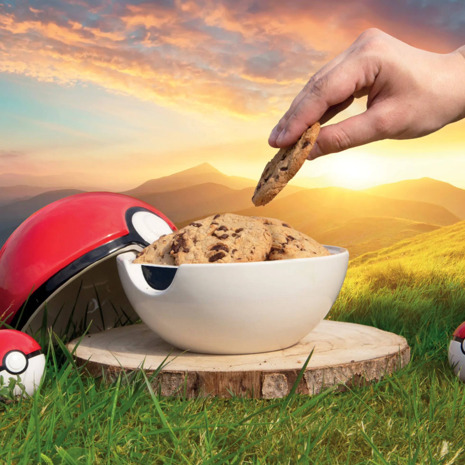 Pokémon Pokéball Keksdose