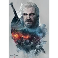 The Witcher Maxi Poster