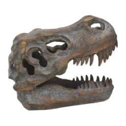Tyrannosaurus Rex-Schädel
