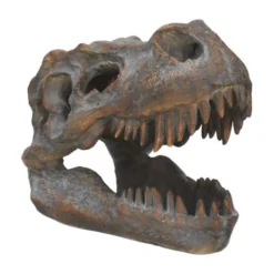 Tyrannosaurus Rex-Schädel