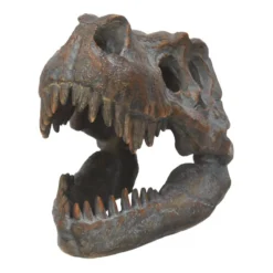 Tyrannosaurus Rex-Schädel